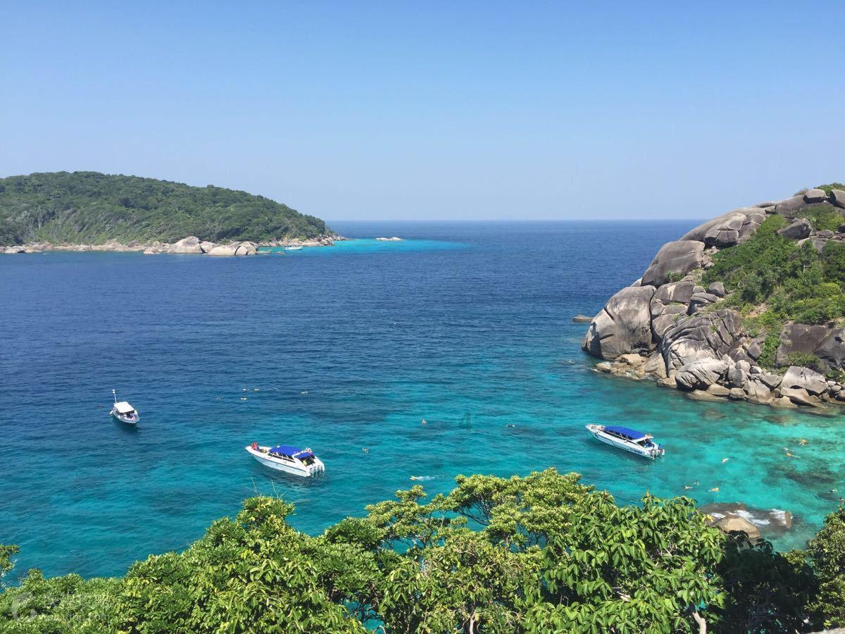 全民剧本大师内置菜单