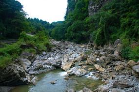 虫虫助手下载